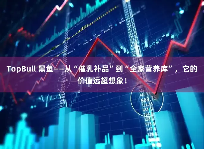 TopBull 黑鱼——从“催乳补品”到“全家营养库”，它的价值远超想象！